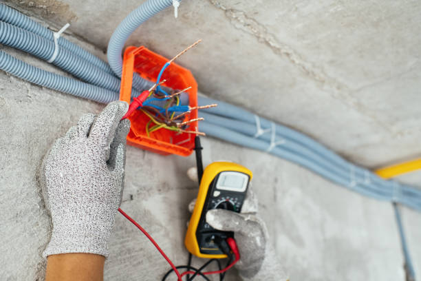 Best Ceiling Fan Installation Electrician  in Hawthorne, NV